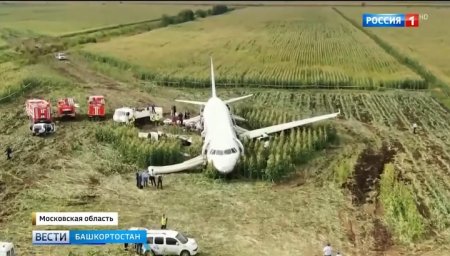 Уфимской проводнице севшего в поле Airbus А321 вручат республиканскую награду