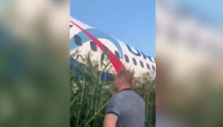 После аварийной посадки в Жуковском в больницы отправлены 23 человека