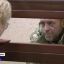 Пройти "скрытым порядком" не дали: суд арестовал 12 нарушителей госграницы России