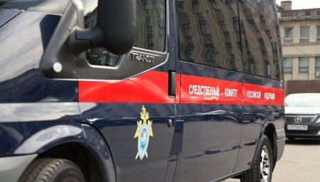 СК завел дело после грубого задержания пассажира в Домодедово
