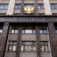 В Госдуме оценили шансы киевских властей "сжечь Москву"