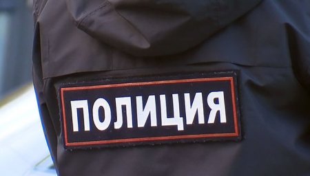 Мумию, замотанную в ткань, нашли на теплотрассе в Нижнем