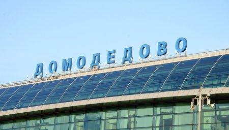 Голый мужчина не добежал до самолета в Домодедове
