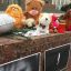 Места массового скопления людей проверят в Крыму после пожара в Кемерово