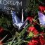 Опубликованы реквизиты для перечисления средств пострадавшим в Керчи